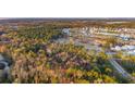 Aerial view of a residential community nestled in a wooded area at 3885 Summerton St, Mount Pleasant, SC 29466