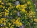 Top-down view of a home surrounded by lush green trees at 2588 High Hammock Rd, Johns Island, SC 29455