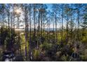 Wooded area with marsh and water views at 1694 Cultivation Ln # 542, Mount Pleasant, SC 29466
