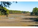 Tranquil marsh landscape with wooden walkways and lush greenery at 1505 Marsh Haven, Johns Island, SC 29455
