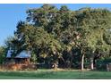 Cabin exterior view with mature oak trees at 1661 Lonnie Taylor Ln, Wadmalaw Island, SC 29487