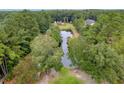 Aerial view of a pond surrounded by lush green trees at 3034 Cane Slash Rd, Johns Island, SC 29455