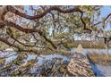 Wooden dock extending over calm water, shaded by moss-draped trees at 4415 Lord Proprietors Rd, Hollywood, SC 29449