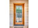 Wooden front door with glass panels and brass door hardware at 317 W Hudson Ave, Folly Beach, SC 29439