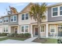 Townhouse exterior showcasing a well-maintained yard and palm tree at 7833 Montview Rd, North Charleston, SC 29418