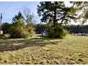 Small cottage-style home partially obscured by vegetation at 8146 N Highway 17, McClellanville, SC 29458