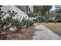 Landscaped front yard with shrubs and walkway at 220 Thompson St, Walterboro, SC 29488
