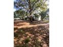 Spacious backyard with mature trees and ample space at 2305 Myrtle St, Edisto Beach, SC 29438