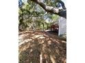 Large backyard with mature trees providing shade at 2305 Myrtle St, Edisto Beach, SC 29438