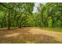Open yard with a storage shed, surrounded by trees at 8389 Chisolm Plantation Rd, Edisto Island, SC 29438