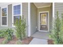 Front entry with a gray door, white trim, and green siding at 2021 Quiet Ibis Rd, Hanahan, SC 29410