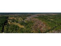 Aerial view of property showcasing expansive land, pond, and home at 6397 Spring Grove Rd, Adams Run, SC 29426