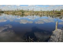 Serene waterfront view with a wooden dock and tranquil water at 757 Backfield Rd, Walterboro, SC 29488