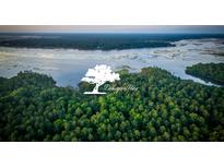 Aerial view of Delinger's Point community with lush greenery and waterfront property at 3834 Delinger Dr, Mount Pleasant, SC 29466