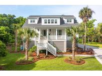 View 129 Sparrow Dr Isle of Palms SC