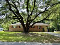 Brick ranch house with a large tree in the front yard at 2223 Plainview Rd, Charleston, SC 29414
