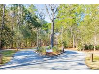 Attractive entrance to The Preserve community with lush landscaping at 1713 Vireo Ct, Johns Island, SC 29455