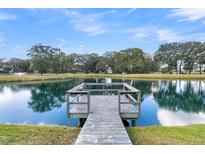 Serene pond with a wooden dock and lush greenery at 2238 Hamlin Sound Cir, Mount Pleasant, SC 29466