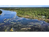 Aerial view of waterfront property with private pier at 4239 Tom Point Rd, Hollywood, SC 29449
