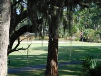 Partial view of golf course through trees at 265 Sea Cloud Cir, Edisto Island, SC 29438