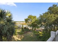 Scenic backyard oasis with waterfront access, dock, and lush landscaping at 2262 Folly Rd # 1I, Charleston, SC 29412