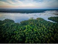 Aerial view of a vast green landscape with a river at 3885 Summerton St, Mount Pleasant, SC 29466