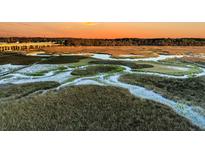Aerial view of serene marsh landscape with sunset colors at 1109 Pinefield Dr, Wando, SC 29492
