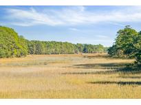 Scenic marsh landscape with wooden walkways, providing a tranquil outdoor space at 1505 Marsh Haven, Johns Island, SC 29455