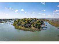 Aerial view of waterfront property on a private island with boat docks at 1530 Oak Island Dr, Charleston, SC 29412