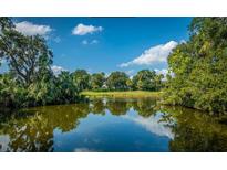 Lush green trees along the edge of a pond and golf course at 26 Twin Oaks Ln, Isle of Palms, SC 29451