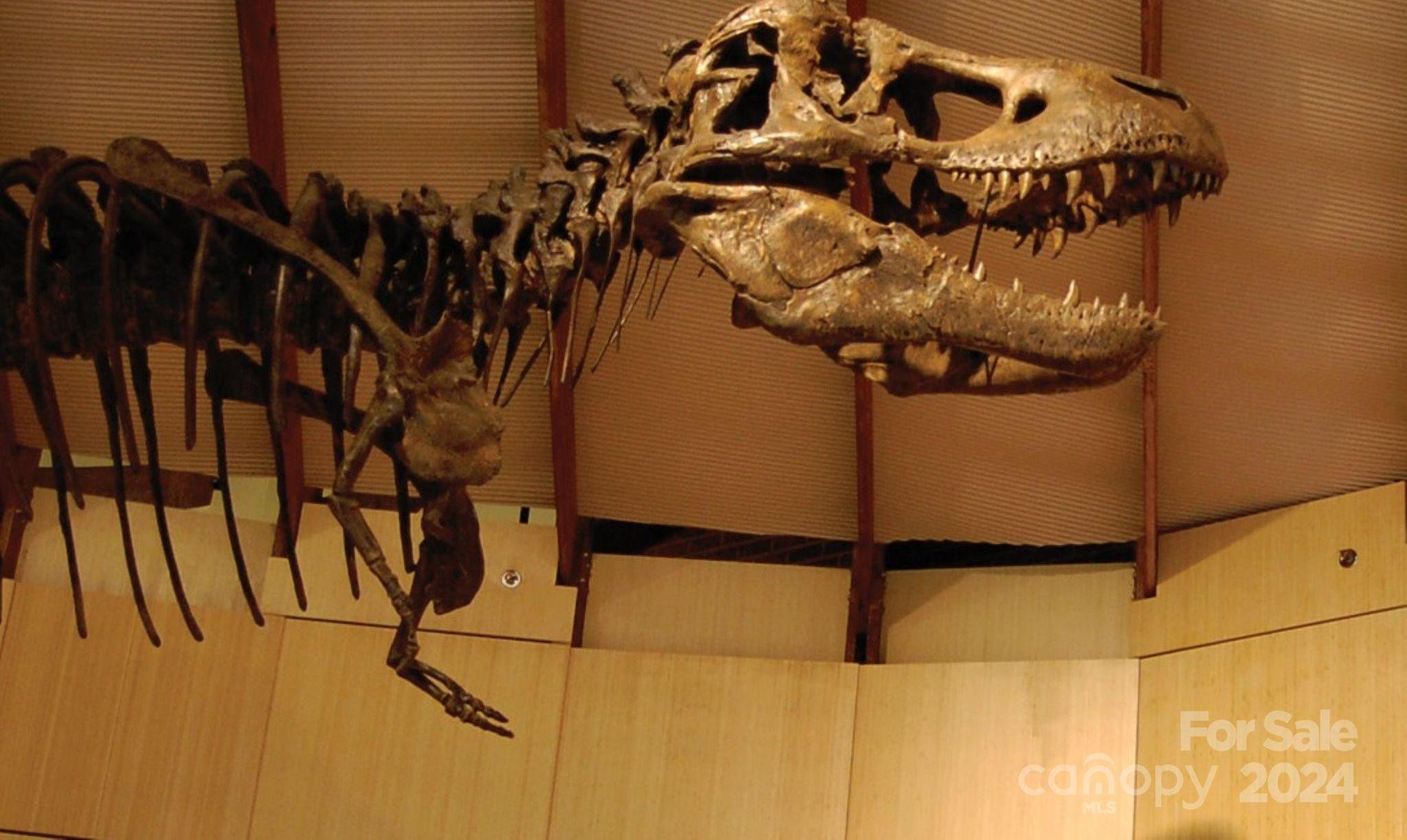 Photo #40