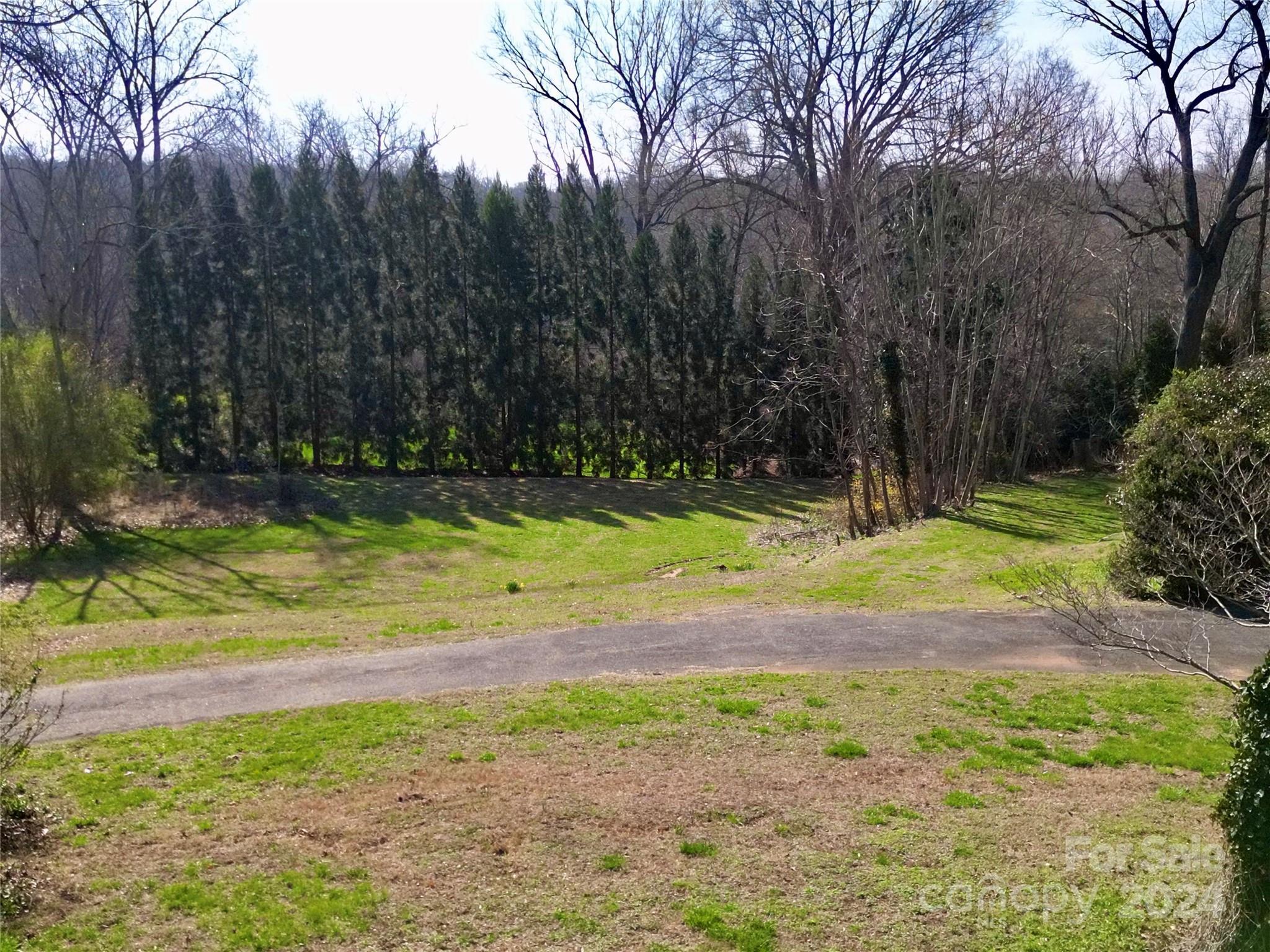 Photo #45