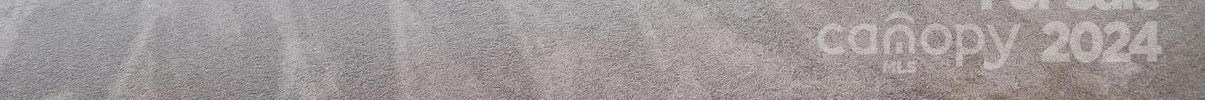 Photo #24