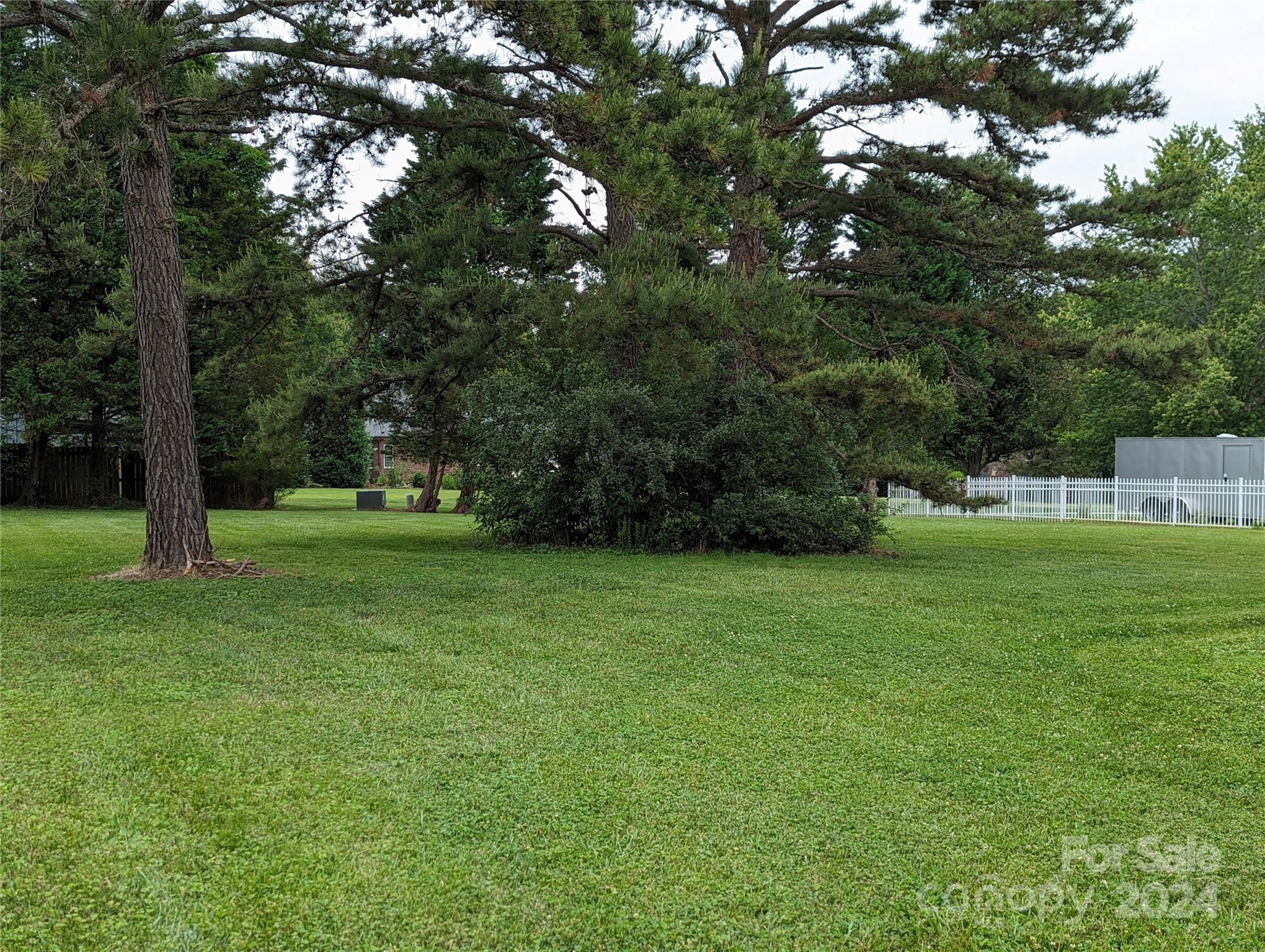 Photo #36