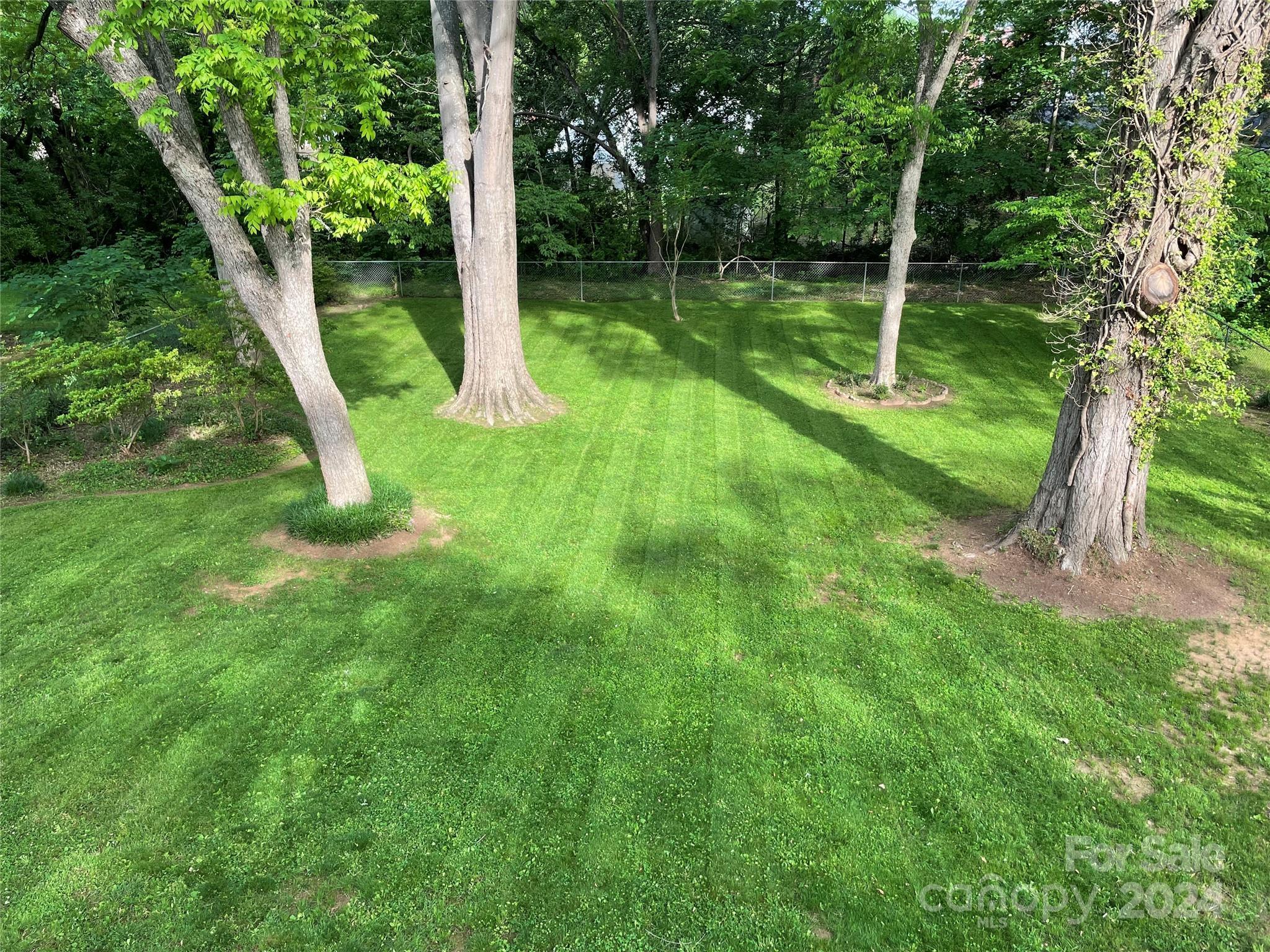 Photo #43