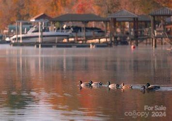 Photo #45