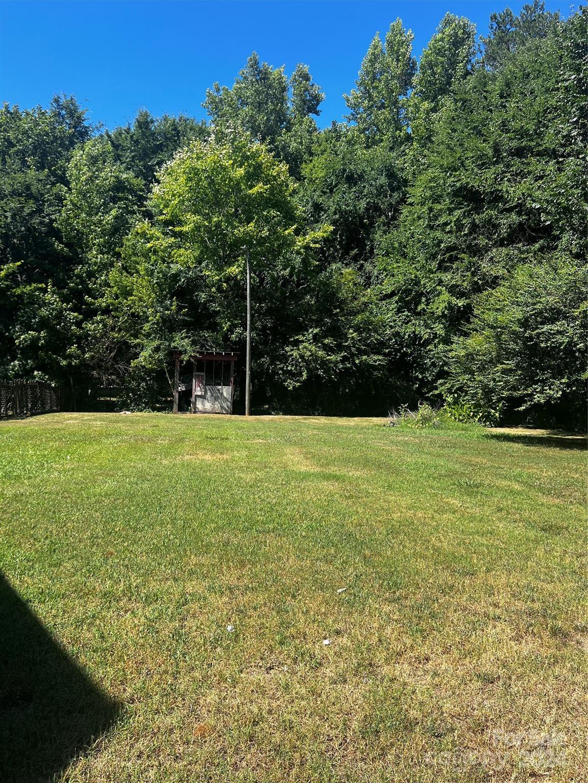 Photo #3