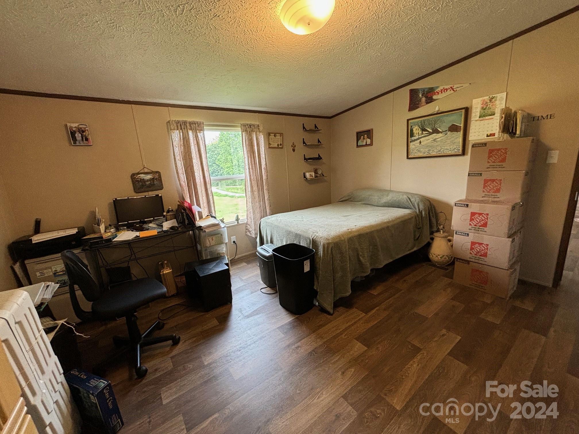 Photo #11