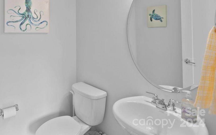 Photo #17