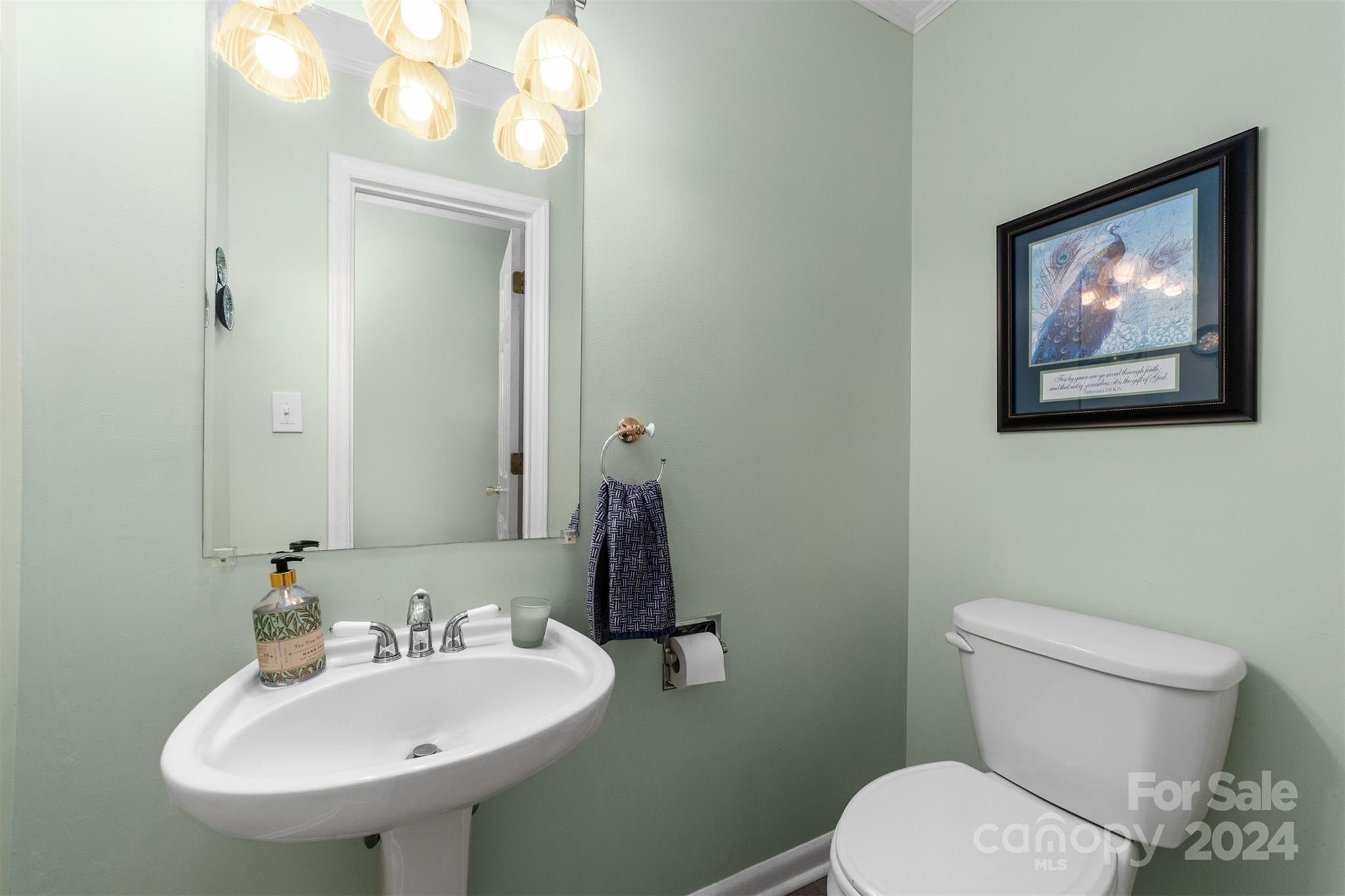 Photo #24