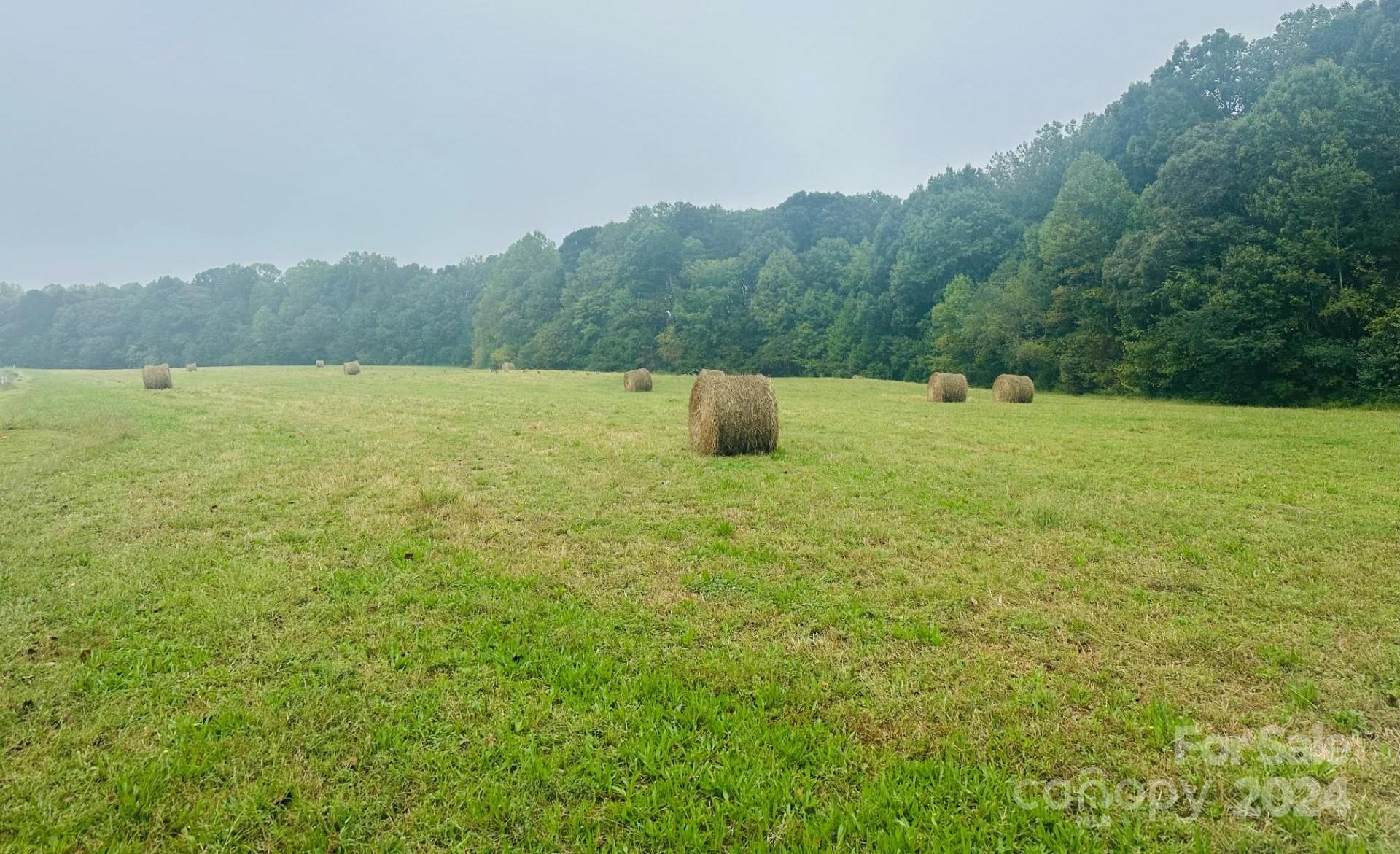 Photo #12