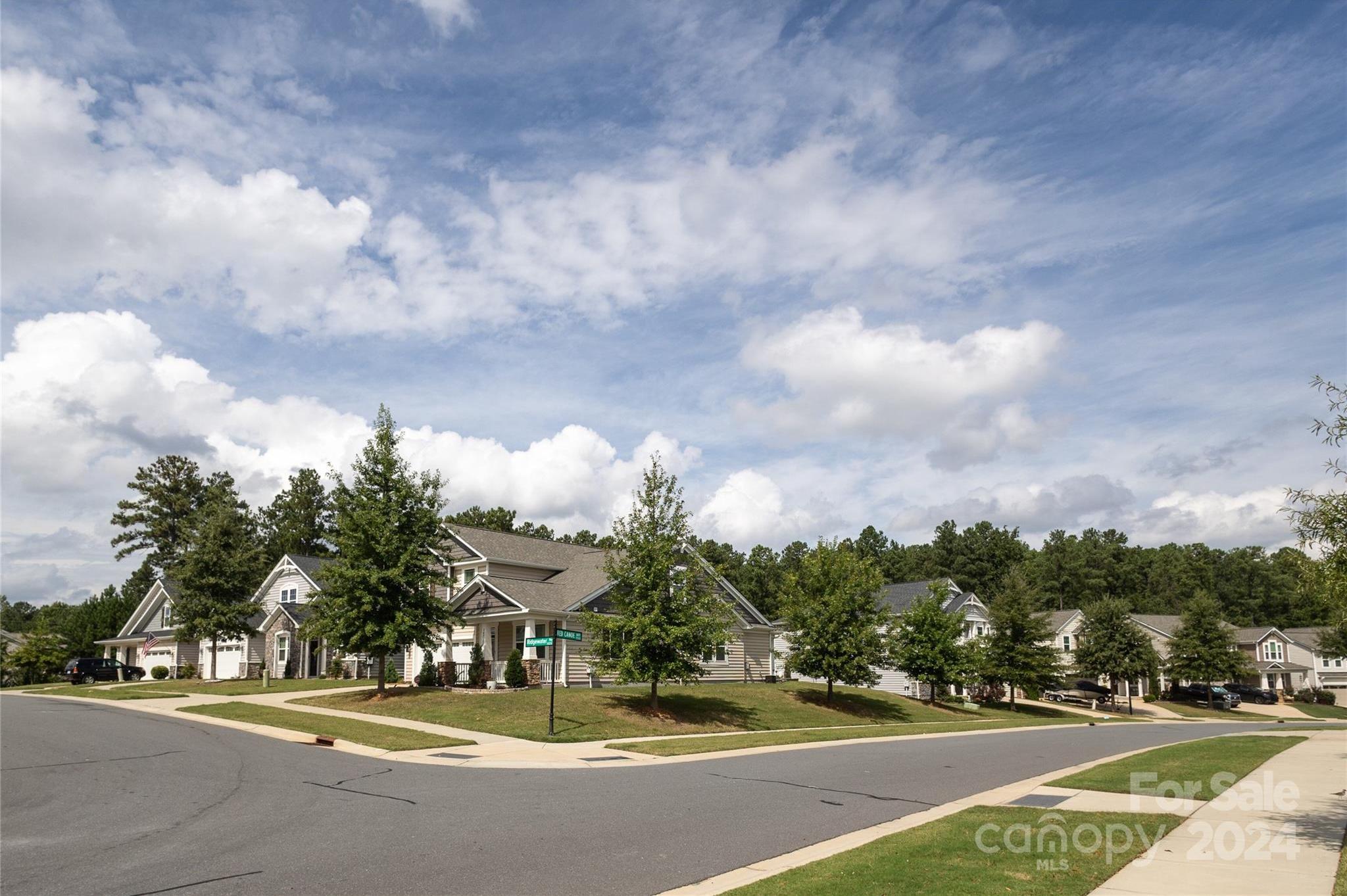 Photo #42