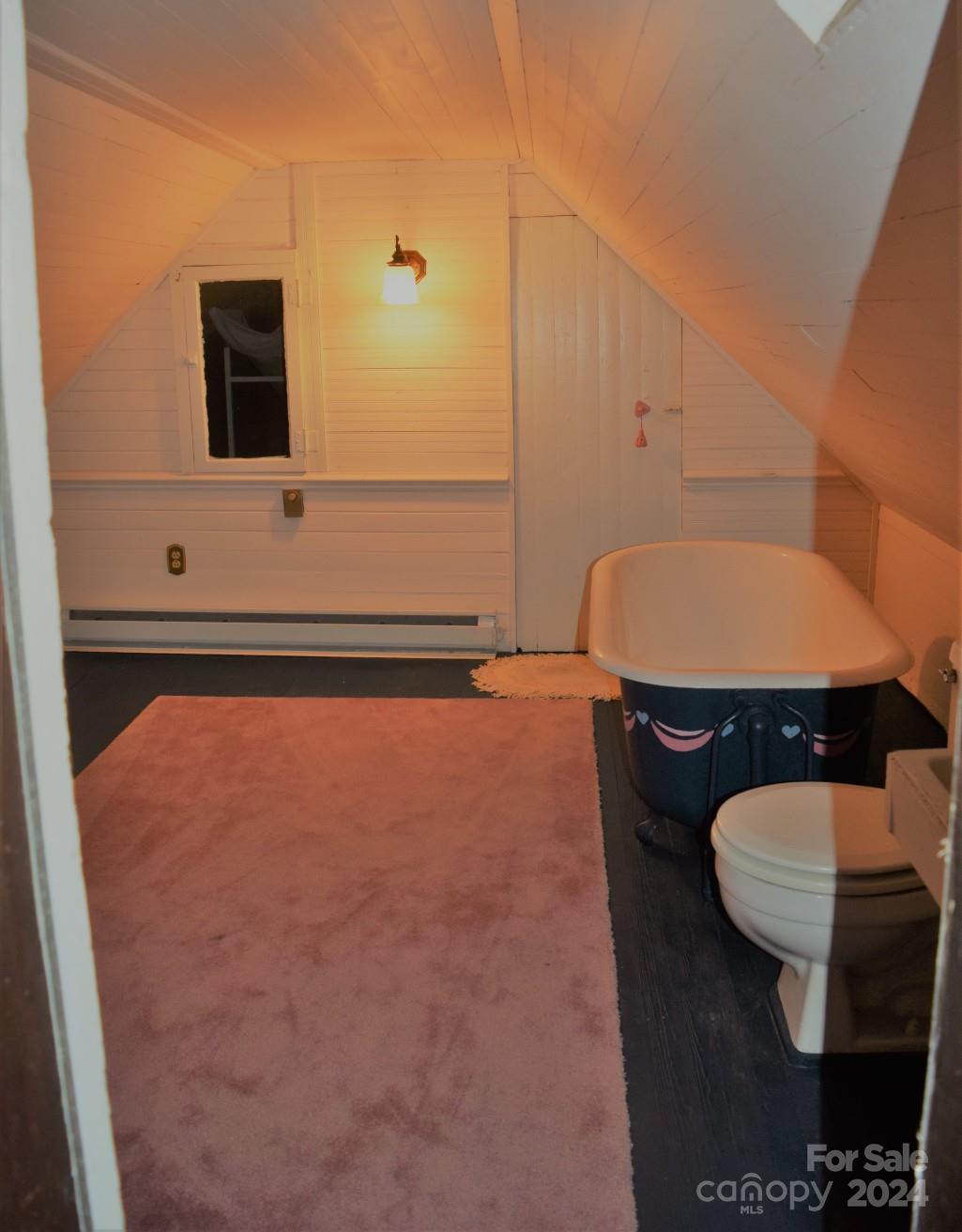 Photo #42