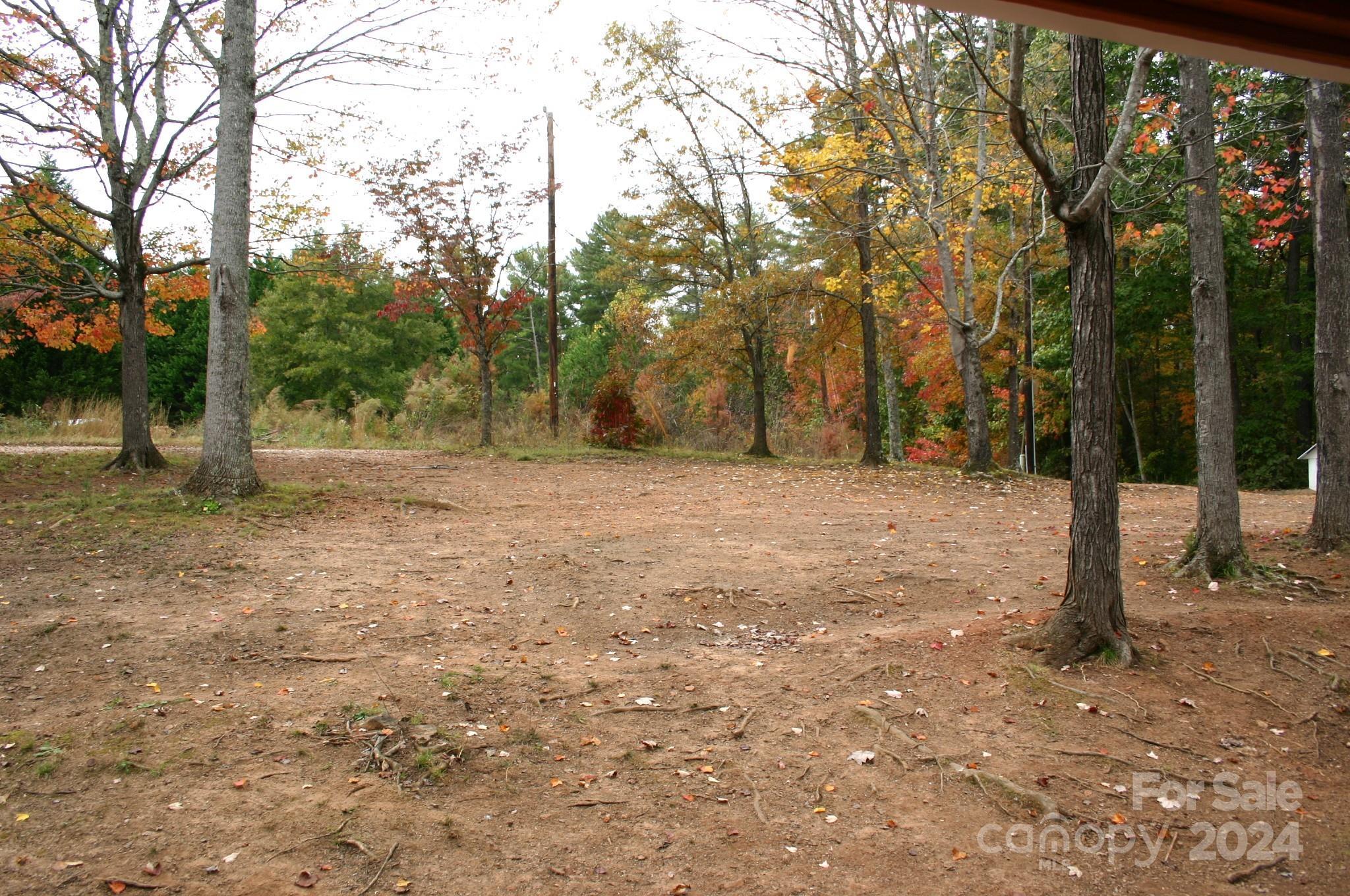 Photo #36