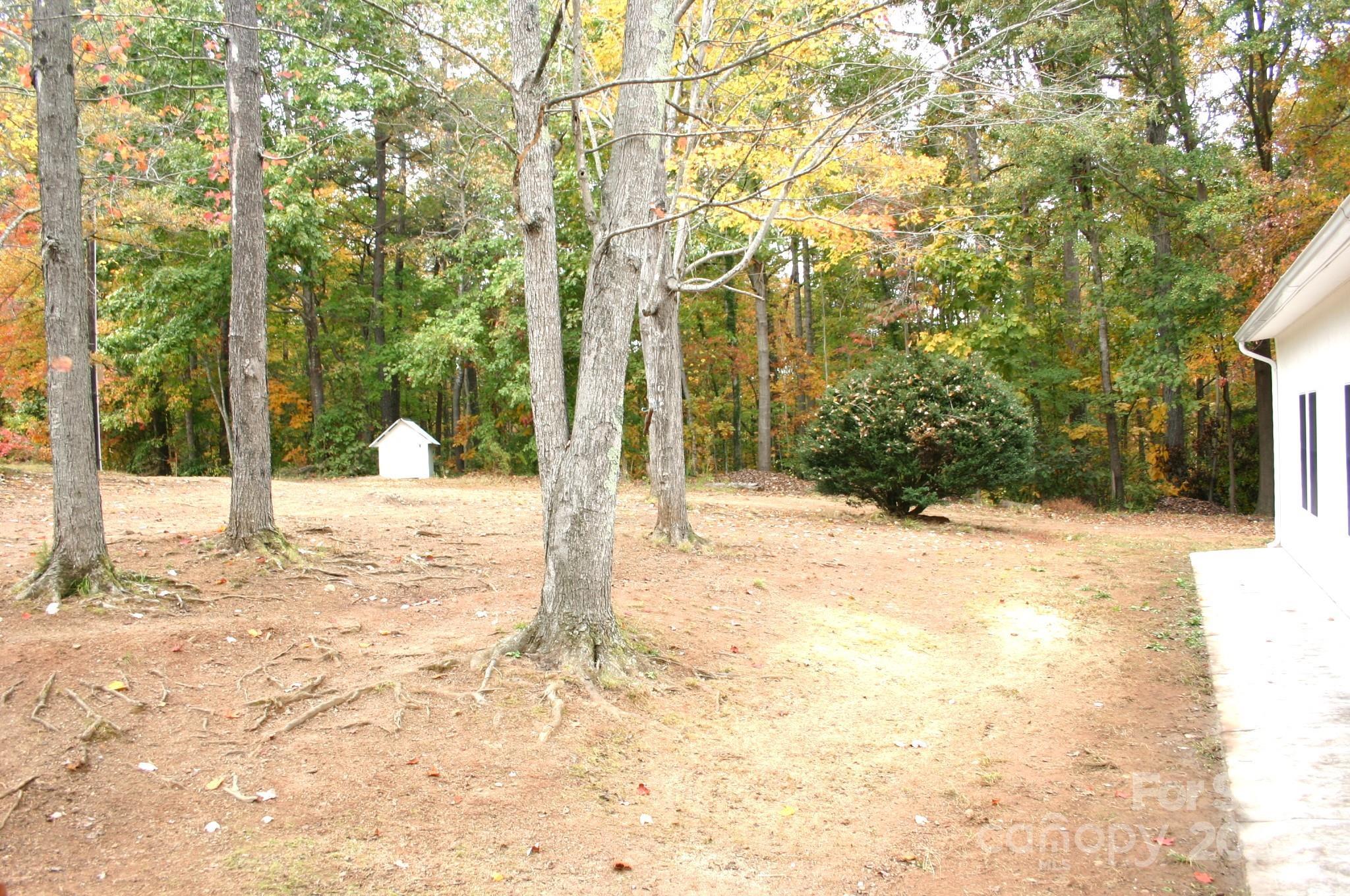 Photo #35