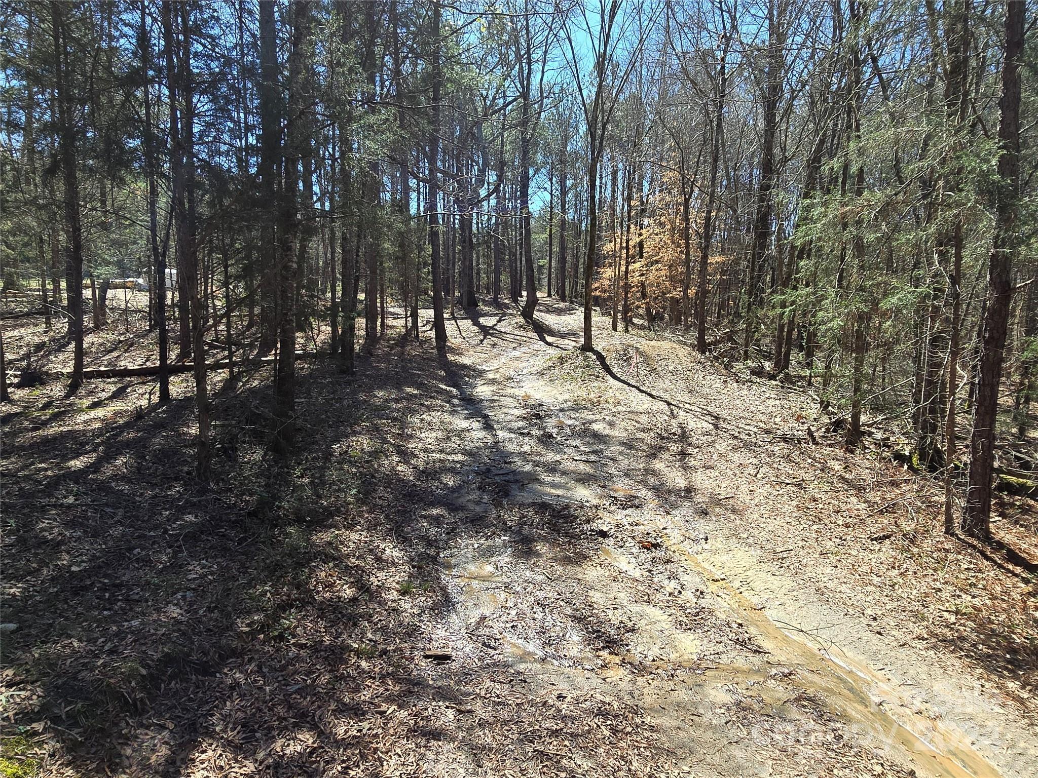 Photo #48