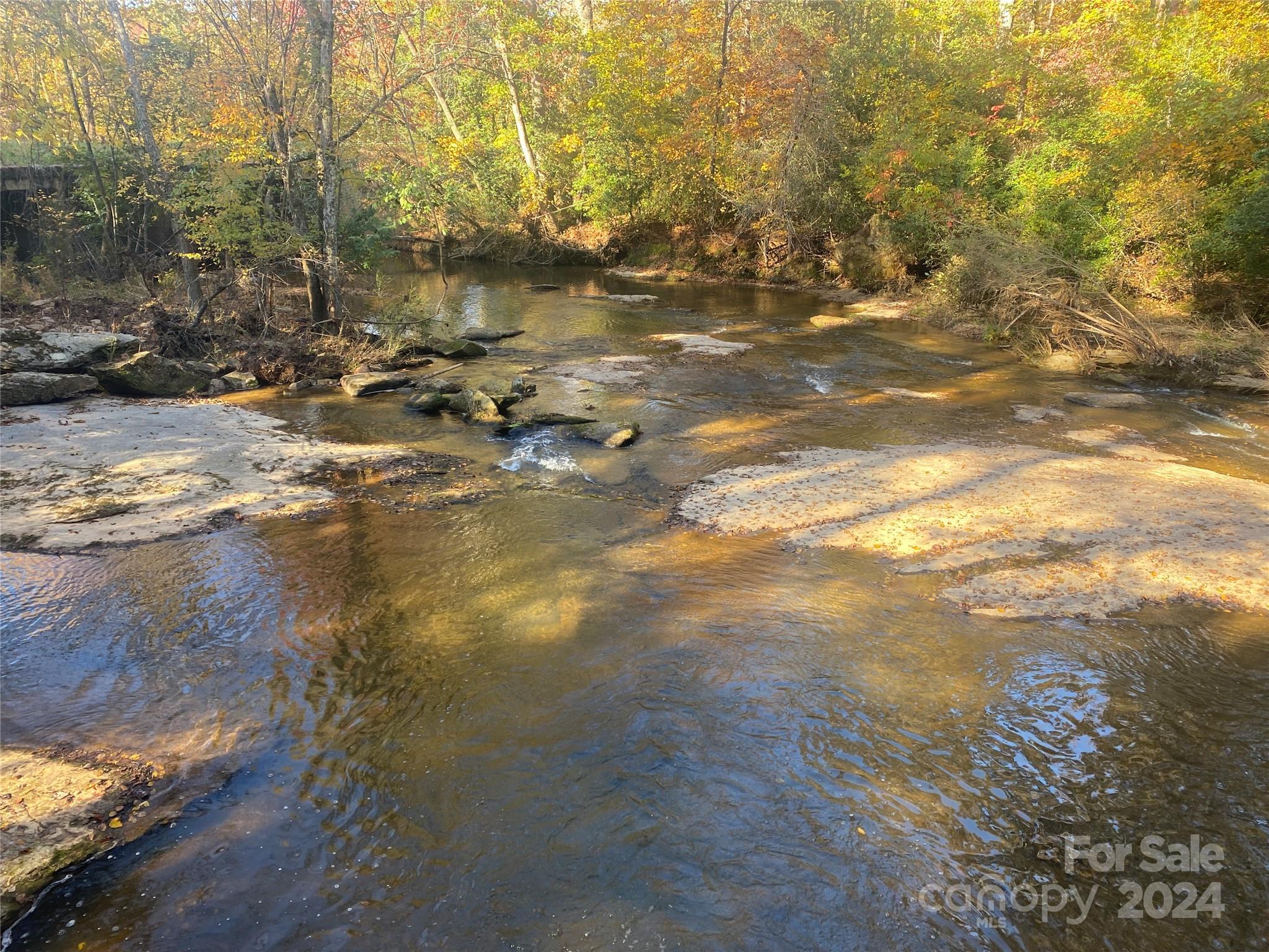 Photo #31