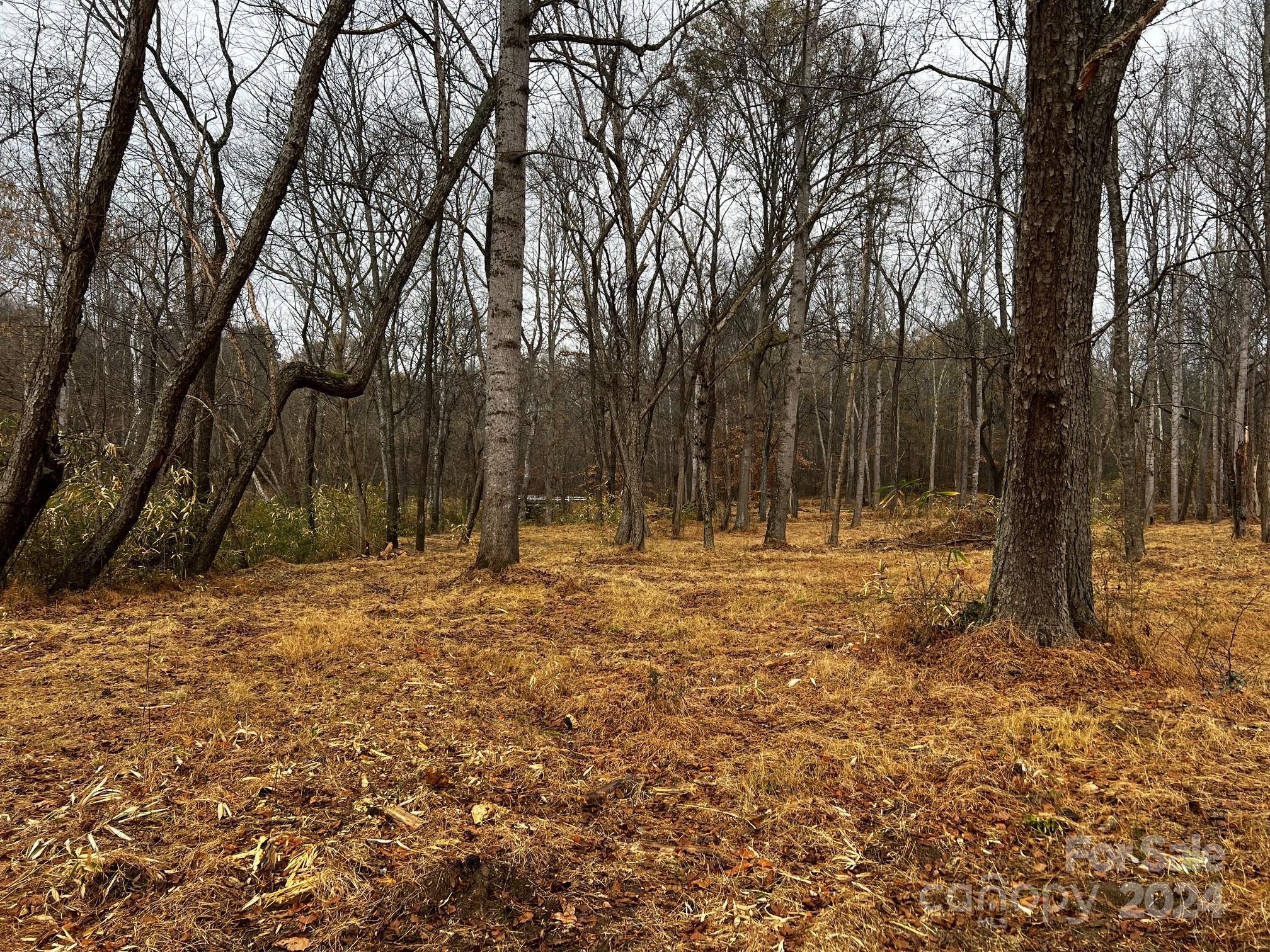 Photo #33