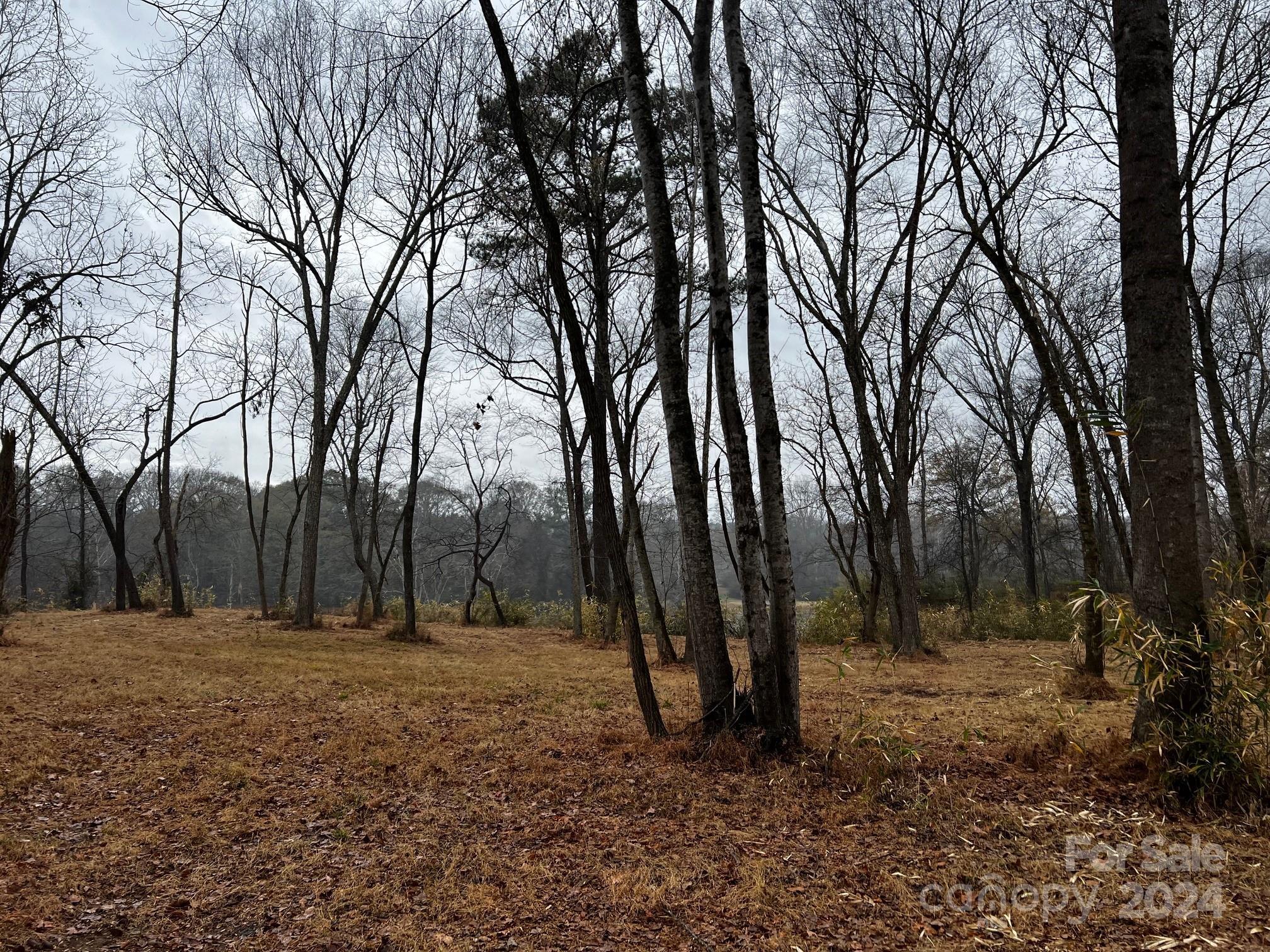 Photo #25