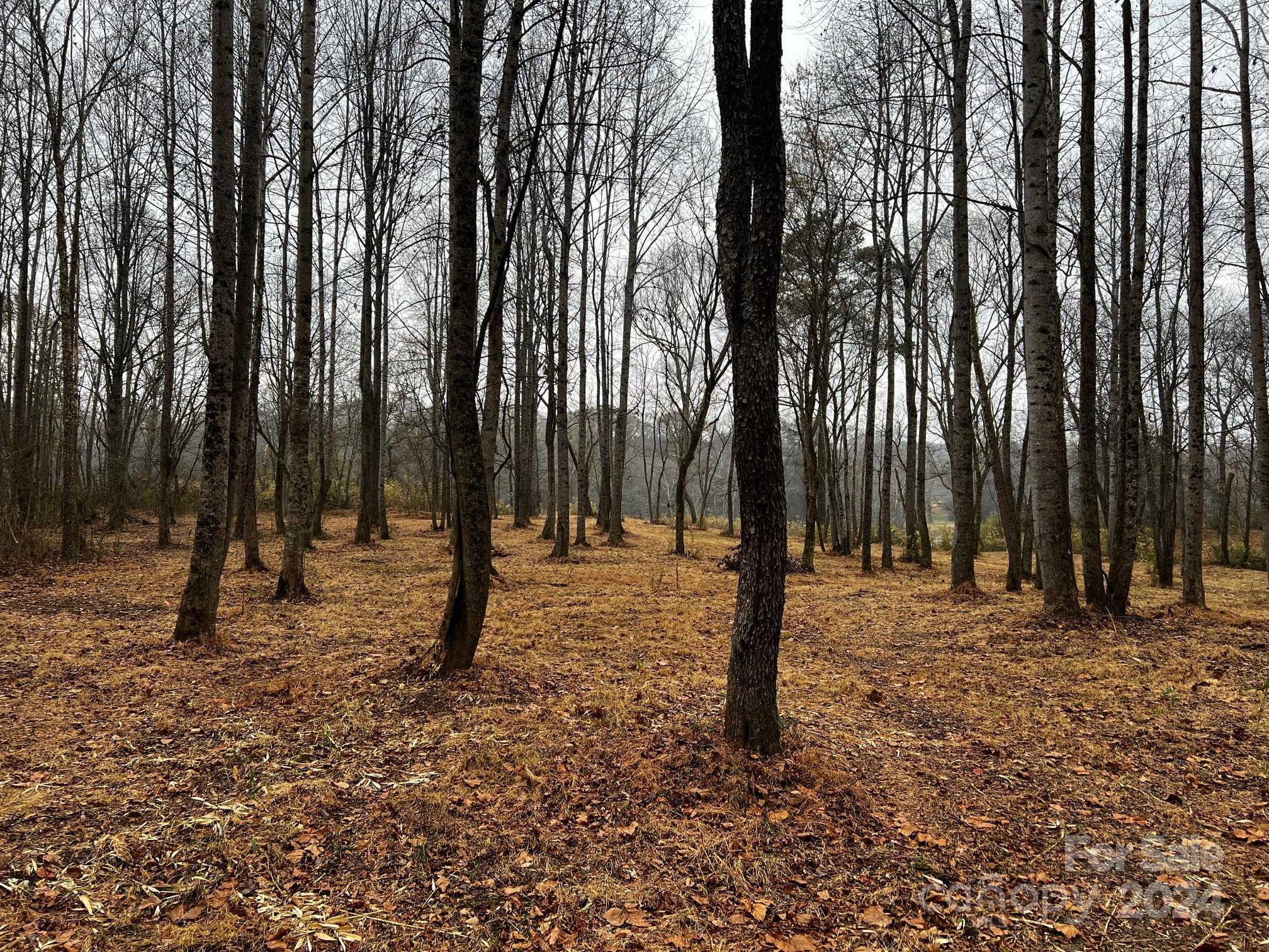 Photo #28